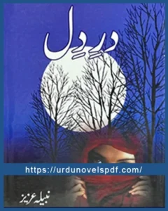 Dare Dil Novel By Nabila Aziz