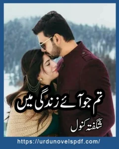 Tum Jo Aye Zindagi Main Novel By Shagufta Kanwal