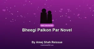 Bheegi Palkon Par Novel By Areej Shah Reissue