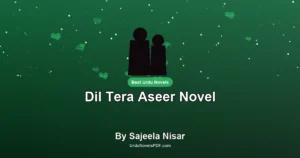 Dil Tera Aseer Novel By Sajeela Nisar