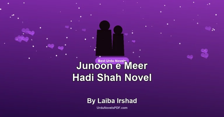 Junoon e Meer Hadi Shah Novel By Laiba Irshad