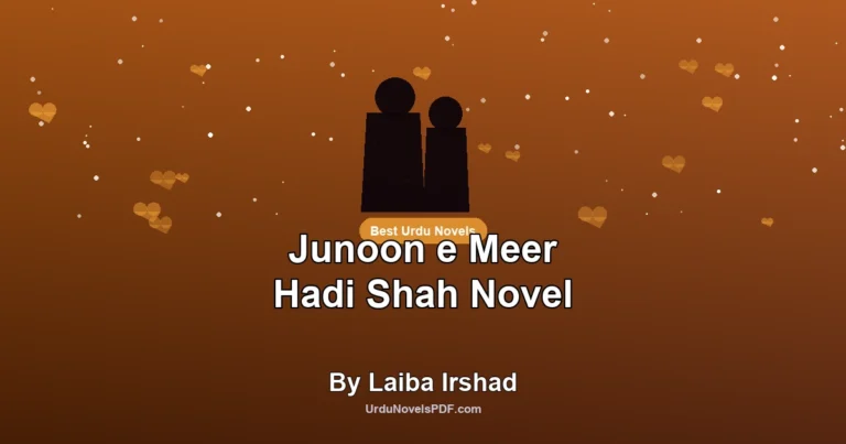 Junoon e Meer Hadi Shah Novel By Laiba Irshad