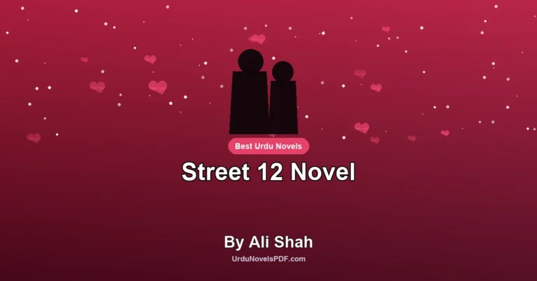 Street 12 Novel By Ali Shah