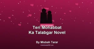Teri Mohabbat Ka Talabgar Novel By Misbah Tarar