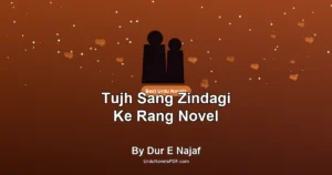 Tujh Sang Zindagi Ke Rang Novel By Dur E Najaf